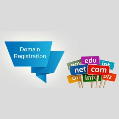Domain Name Registration Services