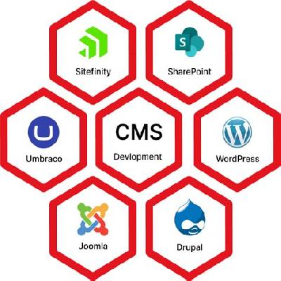 Cms Web Development Services