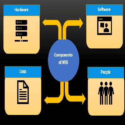 MIS Software Development