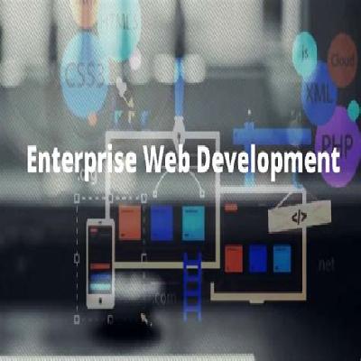 Enterprise Web Development Services