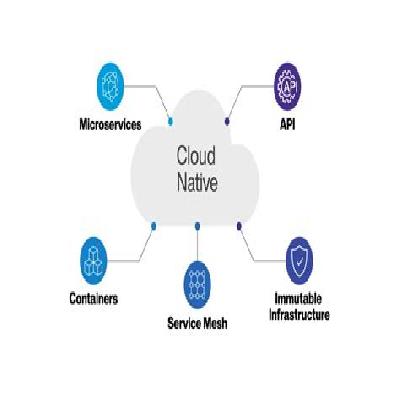 Native Application  Service