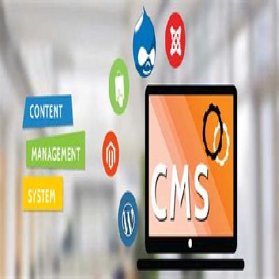 CMS Website Design Package