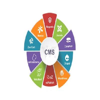 Content Management System