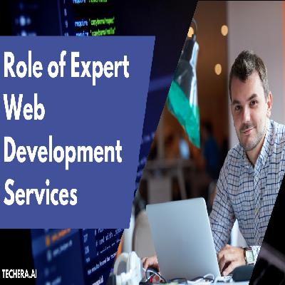 Web Development Experts Services