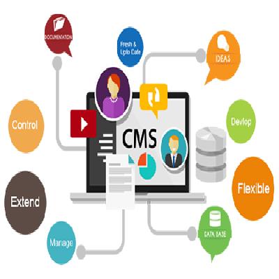 CMS Development Service