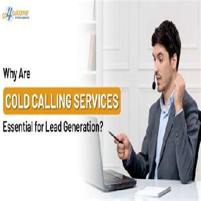 Cold Callings On Market Qualified Leads Services