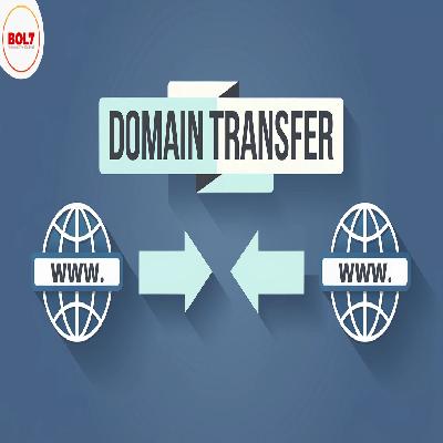 Domain Transfer Service