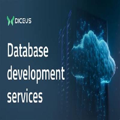 Database Development Service