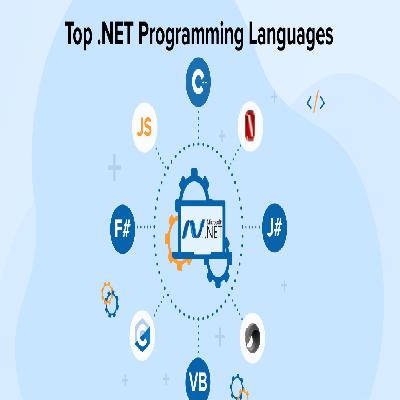 Net Programming Service