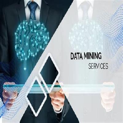 Web Data Mining Service