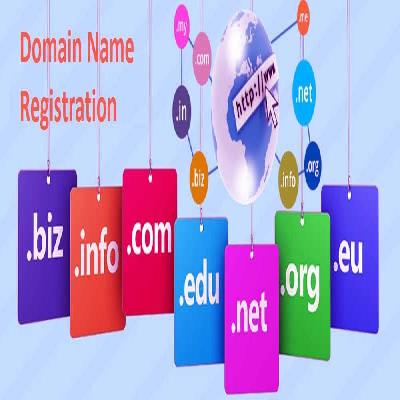 Domain Registration Service