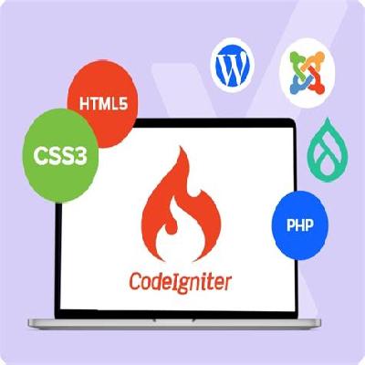 Codeigniter Development Services