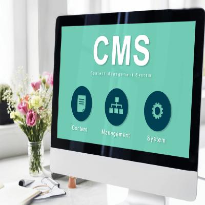 CMS Development Service