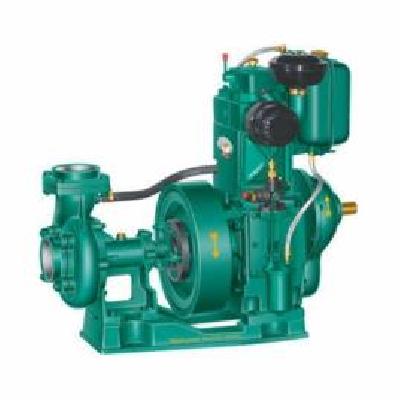 Usha 5 HP Air Cooled Pump Set 3 Inches