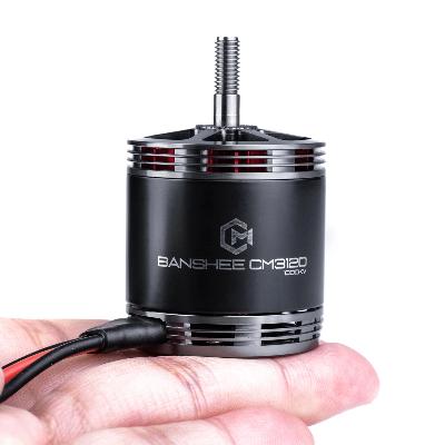 OZ-Black Lab Brushless Motor