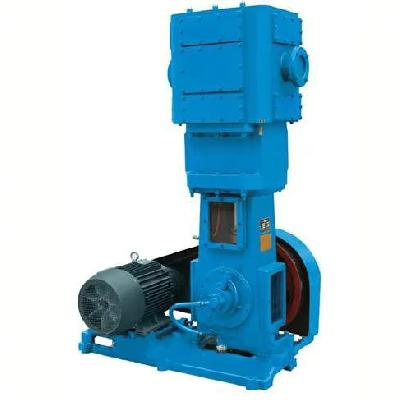 Reciprocating Dry Vacuum Pump