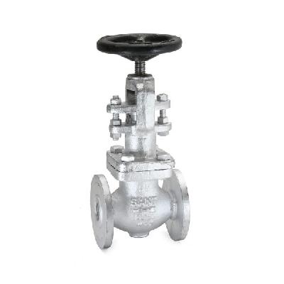 Cast Steel Globe Valves