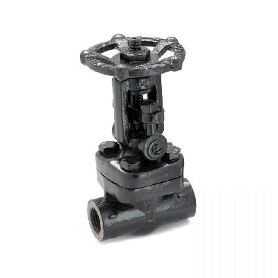 Forged Steel Valves