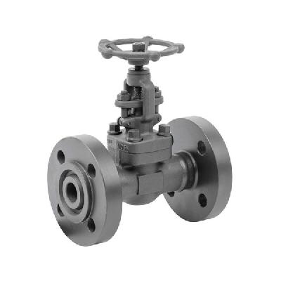 Steel Globe Valves