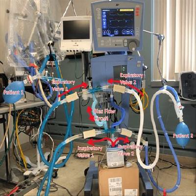 Ventilator Patient Circuits