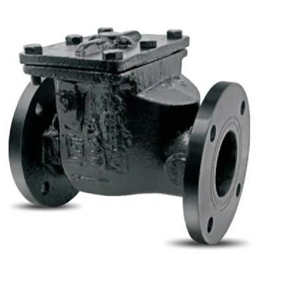 Non Return Valve (NRV)