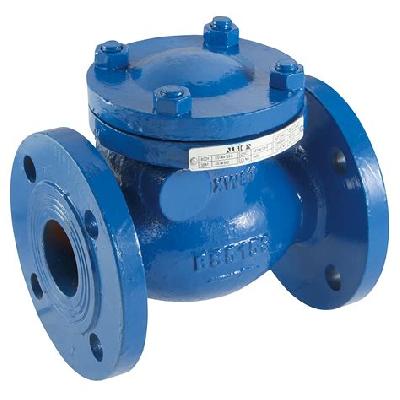 Non Return Valve