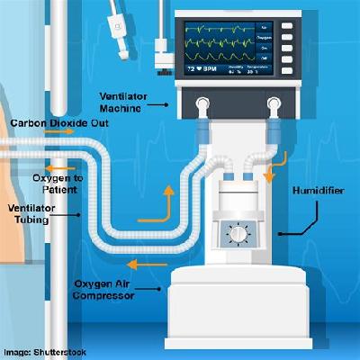 Ventilator circuit