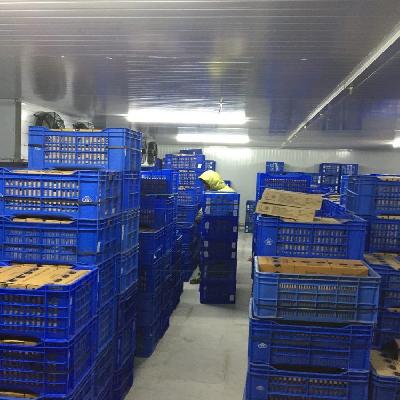 Cold Storage Room Rental Services