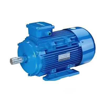 Cg Single Phase Motor 2Hp
