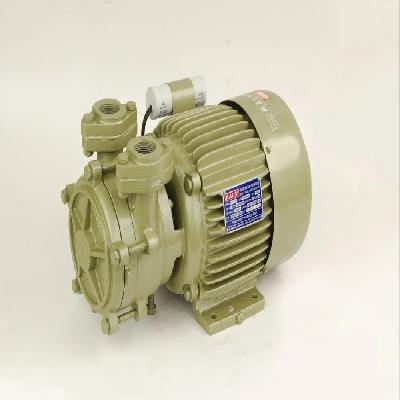 Kalsi 0.5hp Self Priming Pump