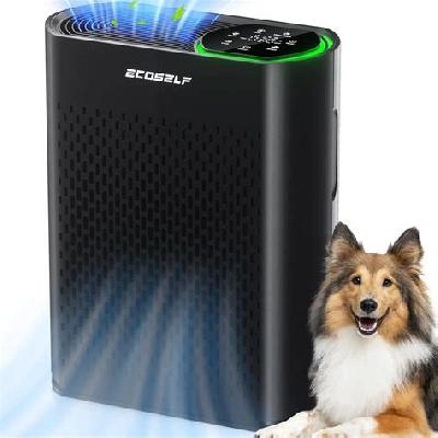 Room Air Purifier