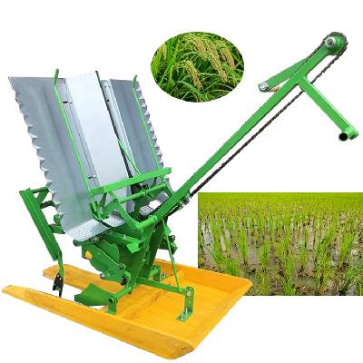 Heavy Duty 2 Row Rice Transplanter
