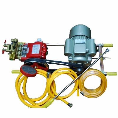 Heavy Duty Electric Power Pressure Sprayer 220V 1100 W