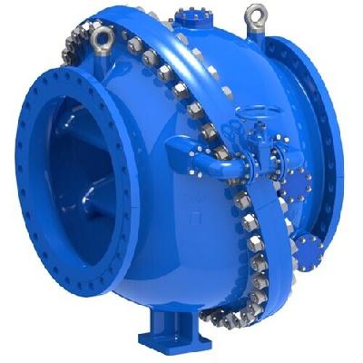 Reflux Valve
