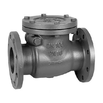 Cast Iron Swing Check Valve