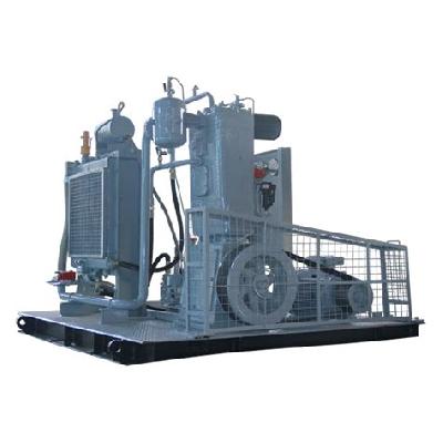 Reciprocating Vertical Compressor