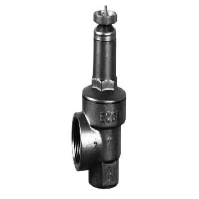 Screwed Safety Valve