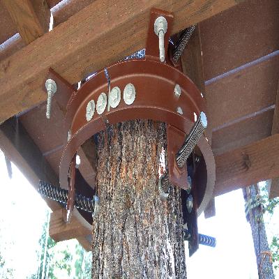 Tree Anchor