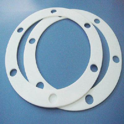 Teflon Gaskets