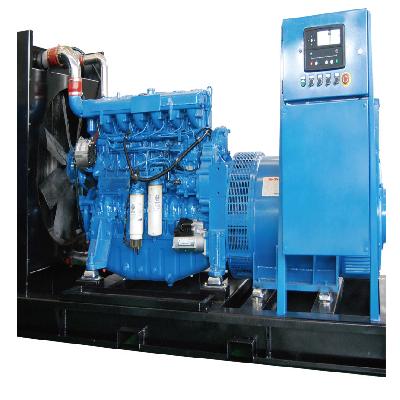 Diesel Generator Set