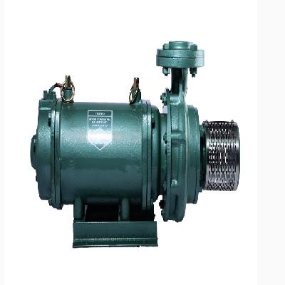 Open Well Water Pump