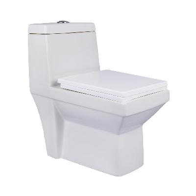 Neycer Western Toilet