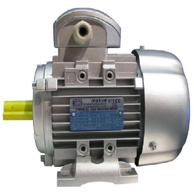 Energy Efficient Motors