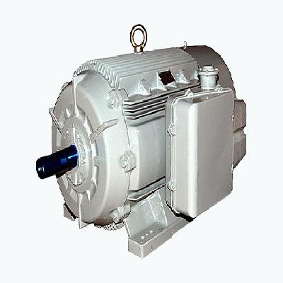 High Efficiency Standard Motors