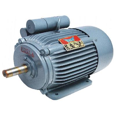 3 hp Induction Motors