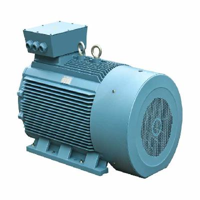 Electric Three Induction Motor