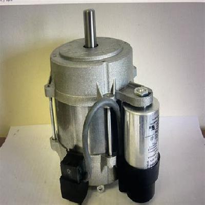 Ecoflam Burner Motor