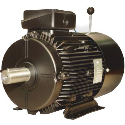 Crompton Greaves Electric Motor
