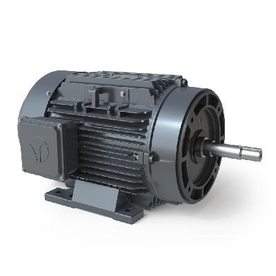 Electrical Pump Motor 06