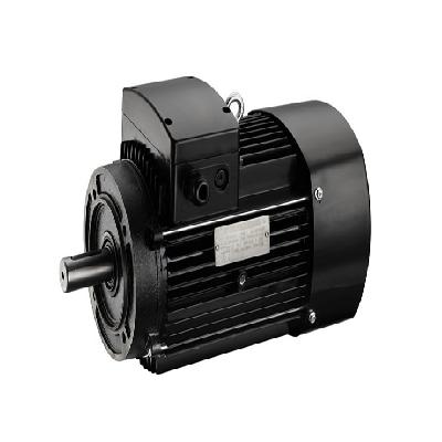 Electrical Pump Motor 07